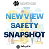 undefined New View Safety Snapshot