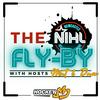 undefined NIHL Flyby