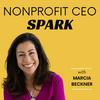 undefined Nonprofit CEO SPARK