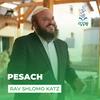 undefined Pesach with Rav Shlomo Katz