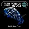 undefined Petit Poisson deviendra Podcast