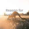 undefined Reason for bush fires In australia