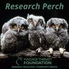 undefined Research Perch