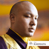 undefined Selected Talks on Buddhism and Meditation by the Karmapa