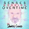 undefined Senses Working Overtime with David Cross