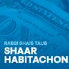 undefined Shaar HaBitachon- SoulWords