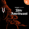 undefined Shiv Amritwani