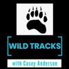 undefined Wild Tracks with Casey Anderson
