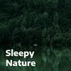 undefined Sleepy Nature