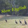undefined Slow English