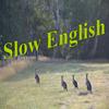 undefined Slow English