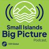 undefined Small Islands Big Picture