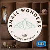 undefined Small Wonders