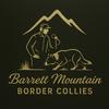 undefined Stock Dog Philosophies Podcast - Barrett Mountain BC