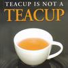 undefined Teacup is Not a Teacup