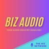 undefined Biz Audio