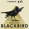 undefined The Bootsy Boys' Blackbird