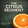 undefined The Citrus Segment