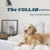 undefined The COLLAB Dog Training Podcast