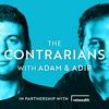 undefined The Contrarians with Adam and Adir