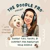 undefined The Doodle Pro® Podcast: Positive Training Tips for a Calm & Well-Behaved Doodle