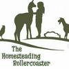 undefined The Homesteading Rollercoaster