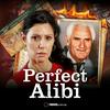 undefined Witness: Perfect Alibi