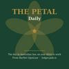 undefined The Petal: Australian Case Law Daily from JADE OpenLaw