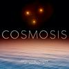 undefined Cosmosis [Formerly The UFO Rabbit Hole]
