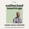 undefined Rabbi Noam Sendor