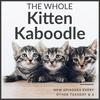 undefined The Whole Kitten Kaboodle