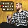 undefined Wuffels Wills Wissen - Der Pokemon Quiz Podcast