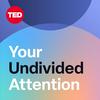 undefined Your Undivided Attention