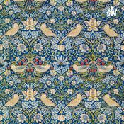 Podcast Abigail ferreira da fonseca