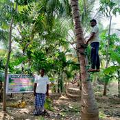 Podcast Ada Palacode