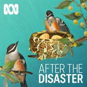 Podcast After The Disaster