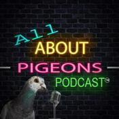 Podcast All About Pigeons