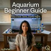 Podcast Aquarium Beginner Guide