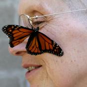 Podcast Ayyā Medhānandī