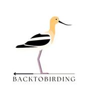 Podcast Back to Birding