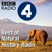 Podcast Best of Natural History Radio