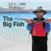 Podcast Big Fish