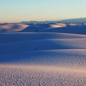 Podcast BIOS1301 Ecology & Sustainability