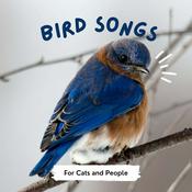 Podcast Bird Songs for Cats
