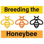 Podcast Breeding the Honeybee