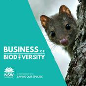 Podcast Business of Biodiversity