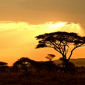 Podcast CAS' Podcast