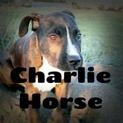Podcast The Charlie Horse Podcast