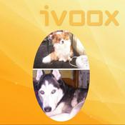 Podcast Chiki & Bella Podcast 2021