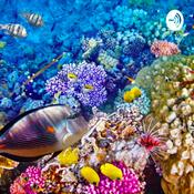 Podcast Climate Change Affecting the Great Barrier Reef